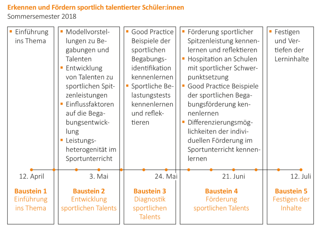 Grafik: Zeitliche Umsetzung der einzelnen Bausteine im Überblick am Beispiel des Sommersemesters 2018.